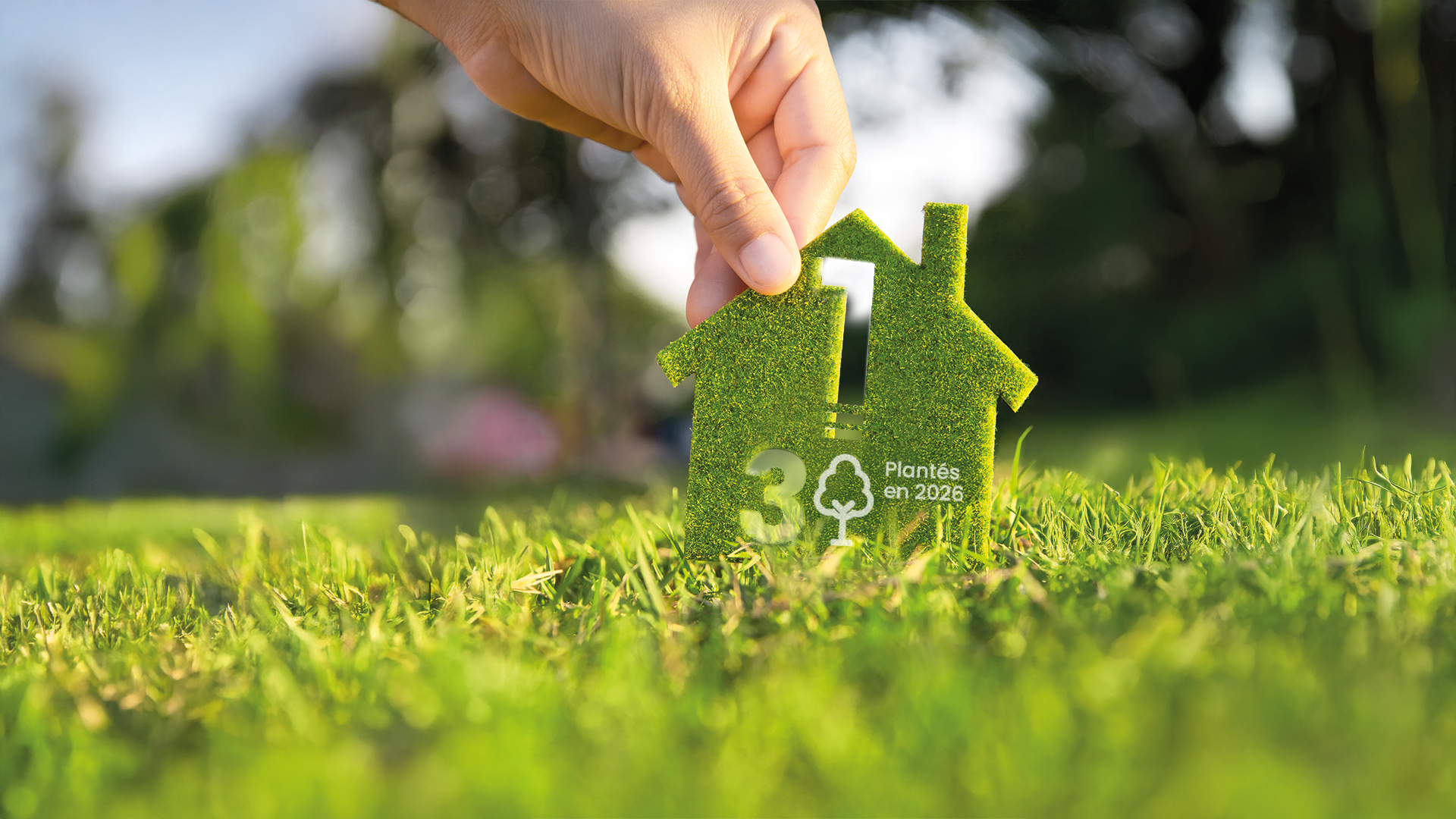 Arbres plantés par BCMI